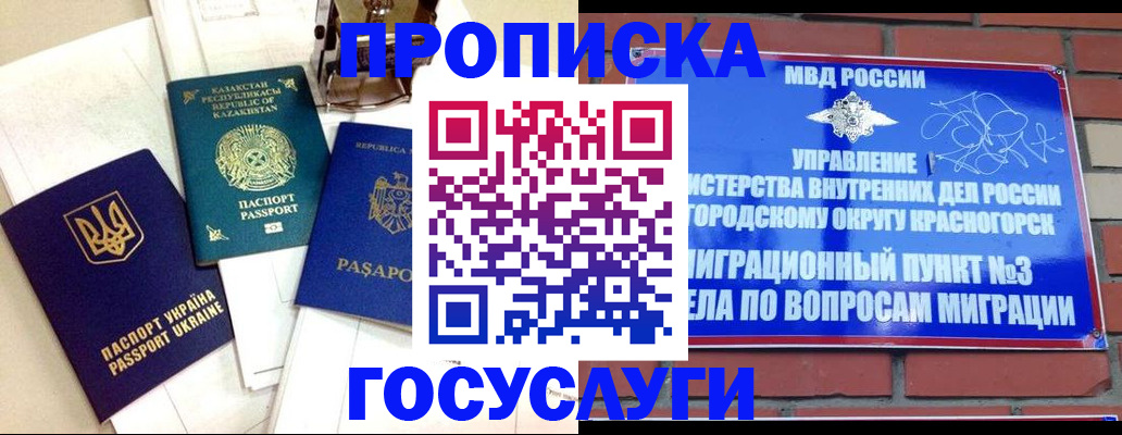 купить прописку в Железногорск-Илимском